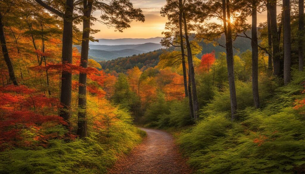 Jefferson_County_Florida