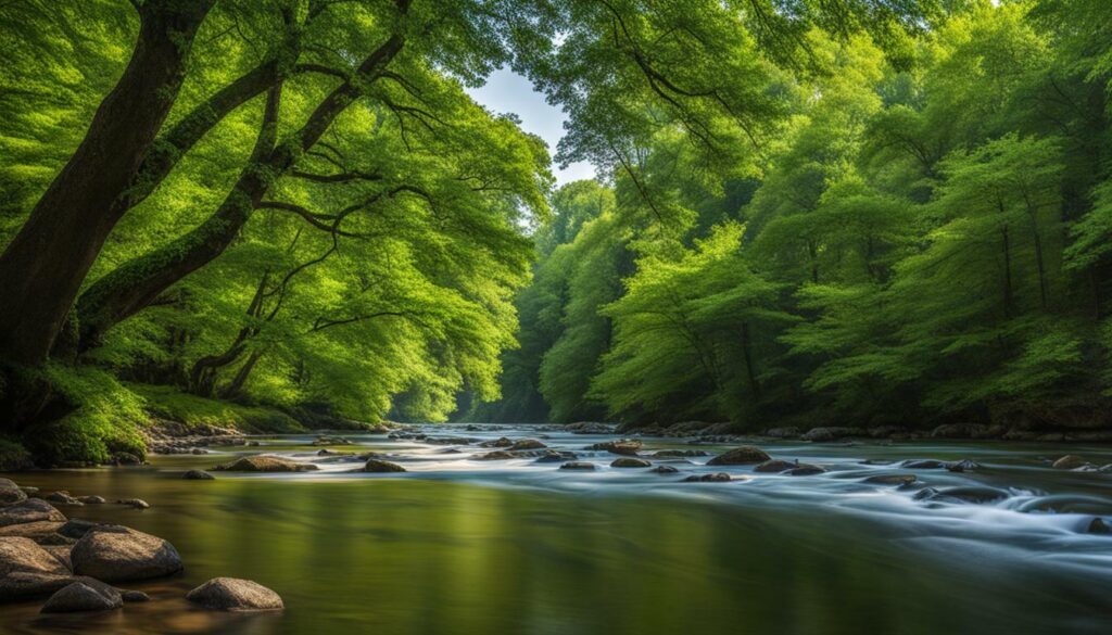 Madison_County_Florida